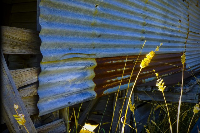 On The Farm - Photography by Eric Bocquet.